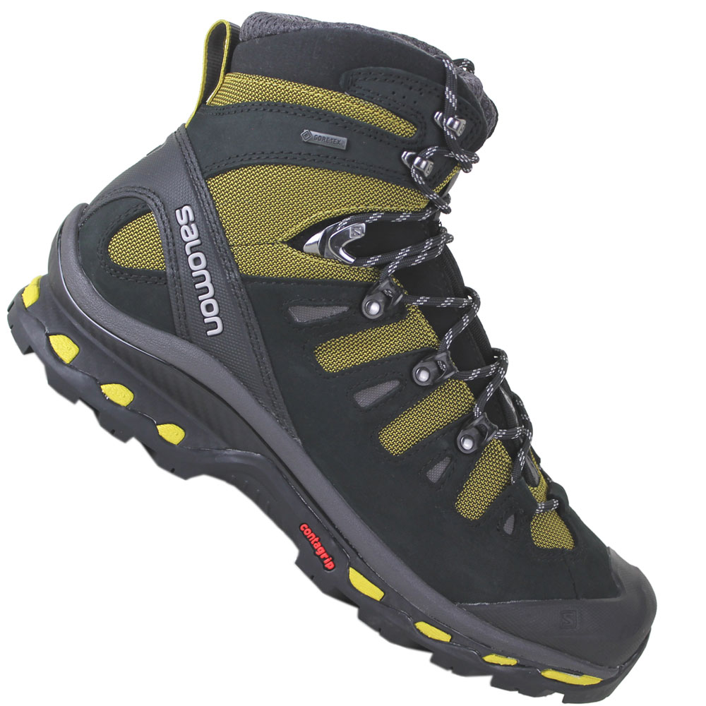 Salomon Quest 4D 2 GTX Herren-Wanderschuh 370730 Ray/Black/Autobahn ...