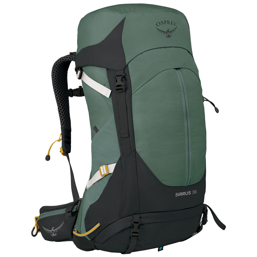 Osprey Sirrus 36 Succulent Green günstig online kaufen