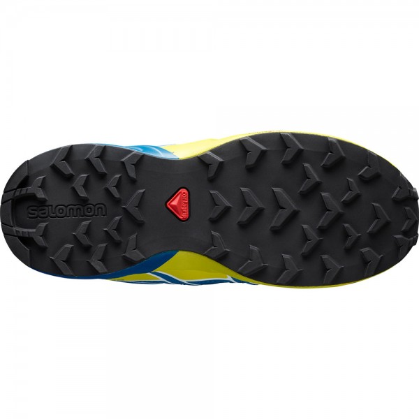 salomon speedcross poseidon