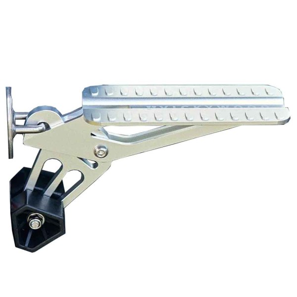 Vickywood Universal Auto Tuer Trttstufe 2 Klappbar 180 kg Silber