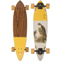 Globe Pintail 34 Falcon