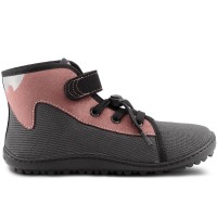 Leguano Leguanito Scippo Rose