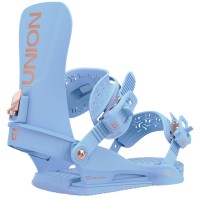 Union Juliet Bluebell