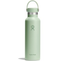 Hydro Flask 21 OZ Standard Mouth Flex Cap Aloe